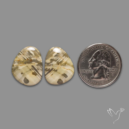 Large Picture Jasper Pair