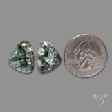 Seraphinite Pair