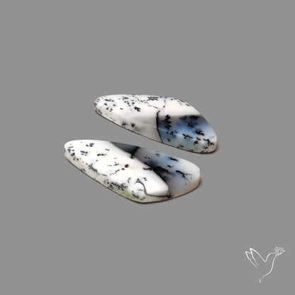 Dendritic Agate Pair