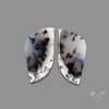 Dendritic Agate Pair