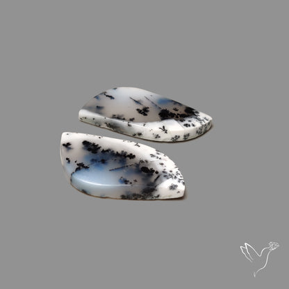 Dendritic Agate Pair