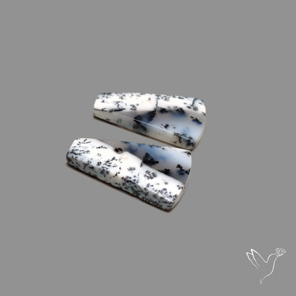Dendritic Agate Pair