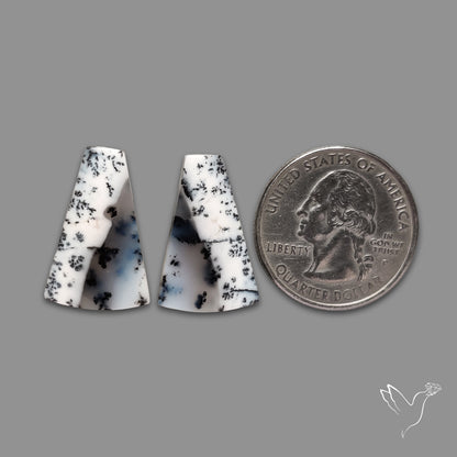 Dendritic Agate Pair