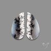 Dendritic Agate Pair