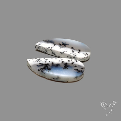 Dendritic Agate Pair