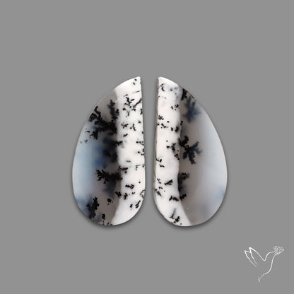 Dendritic Agate Pair