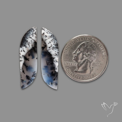Dendritic Agate Pair