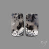 Dendritic Agate Pair