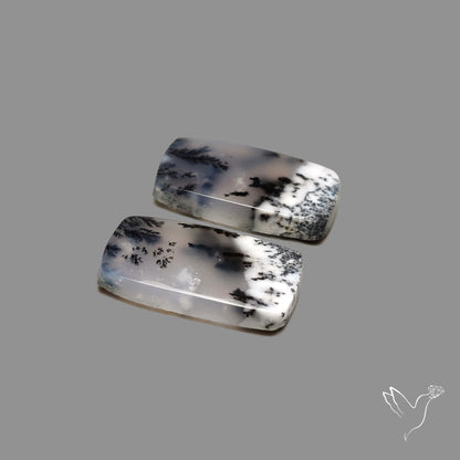 Dendritic Agate Pair