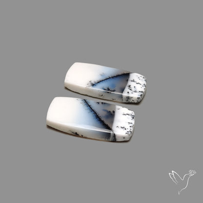 Dendritic Agate Pair