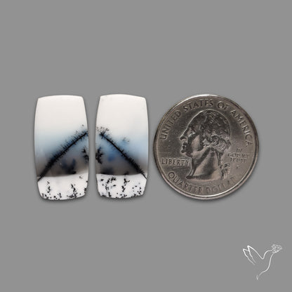 Dendritic Agate Pair