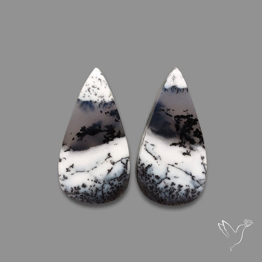 Dendritic Agate Pair