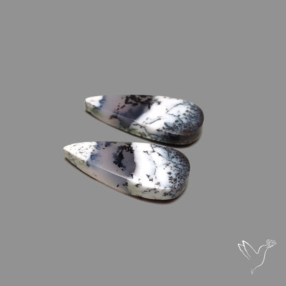 Dendritic Agate Pair