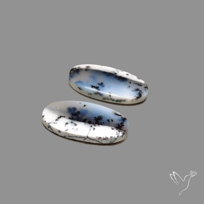 Dendritic Agate Pair