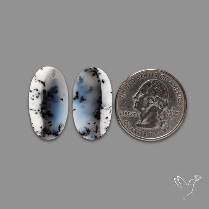 Dendritic Agate Pair