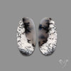 Dendritic Agate Pair