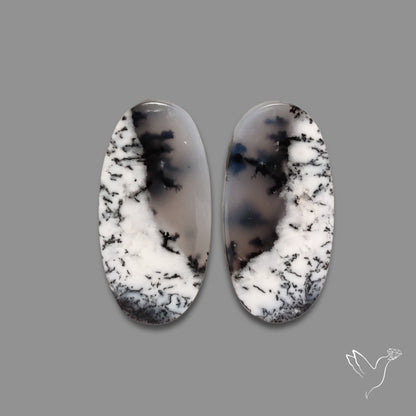 Dendritic Agate Pair