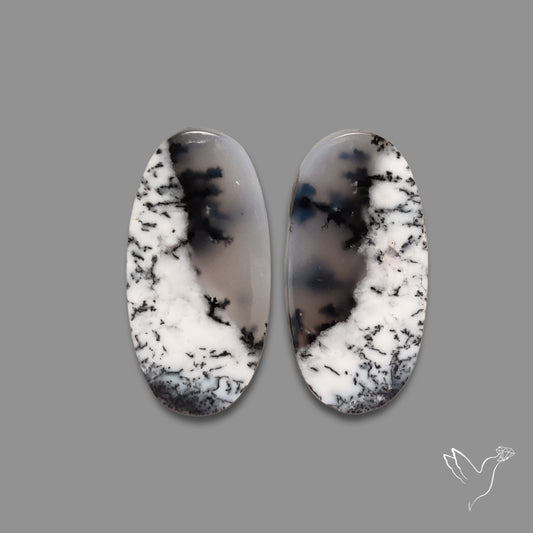 Dendritic Agate Pair
