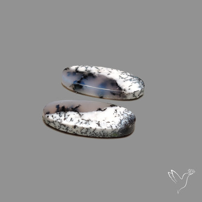 Dendritic Agate Pair