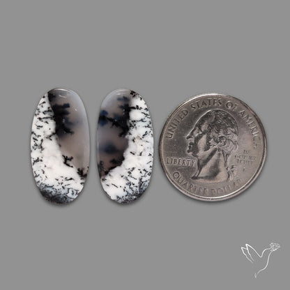 Dendritic Agate Pair