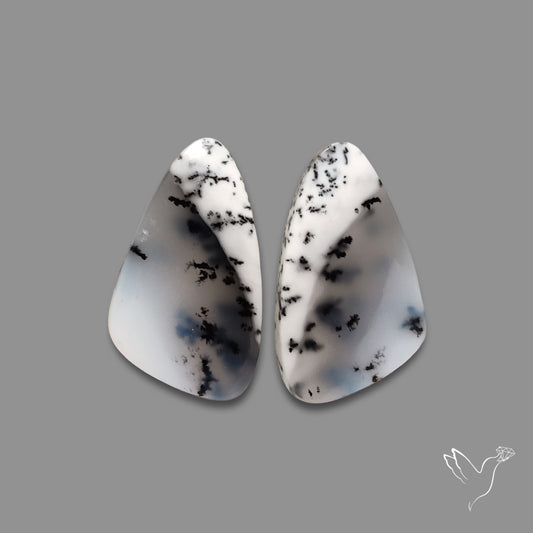 Dendritic Agate Pair