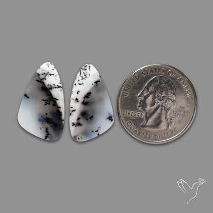 Dendritic Agate Pair