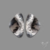 Dendritic Agate Pair