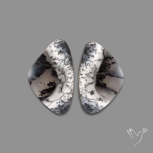 Dendritic Agate Pair