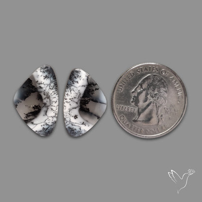 Dendritic Agate Pair