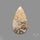 Fossil Coral Cabochon