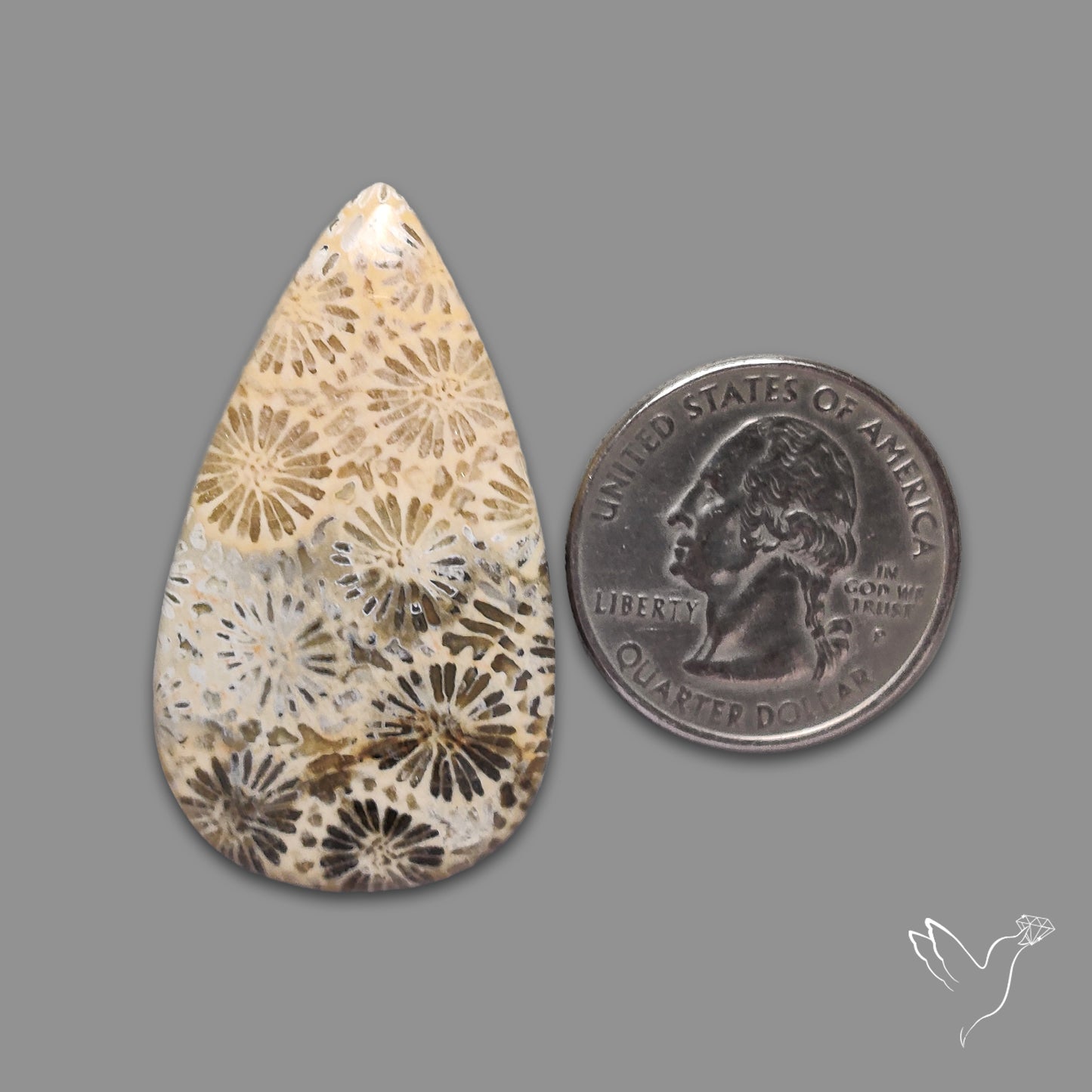 Fossil Coral Cabochon