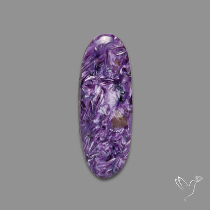 Charoite Cabochon