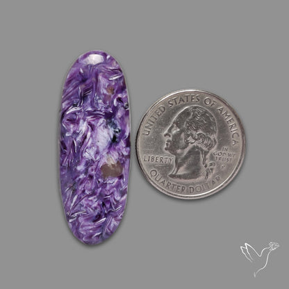 Charoite Cabochon