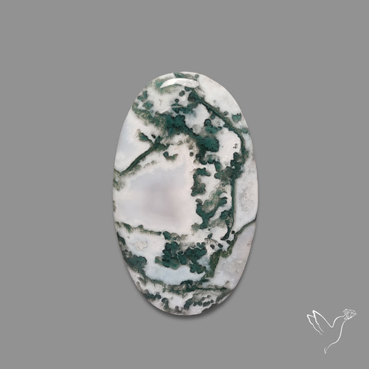Tree Agate Cabochon