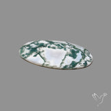 Tree Agate Cabochon