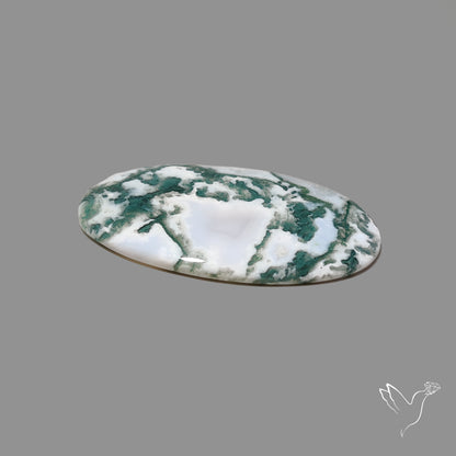 Tree Agate Cabochon