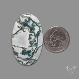 Tree Agate Cabochon