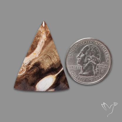 Palmroot Agate Cabochon