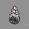 Black Fossil Coral Cabochon