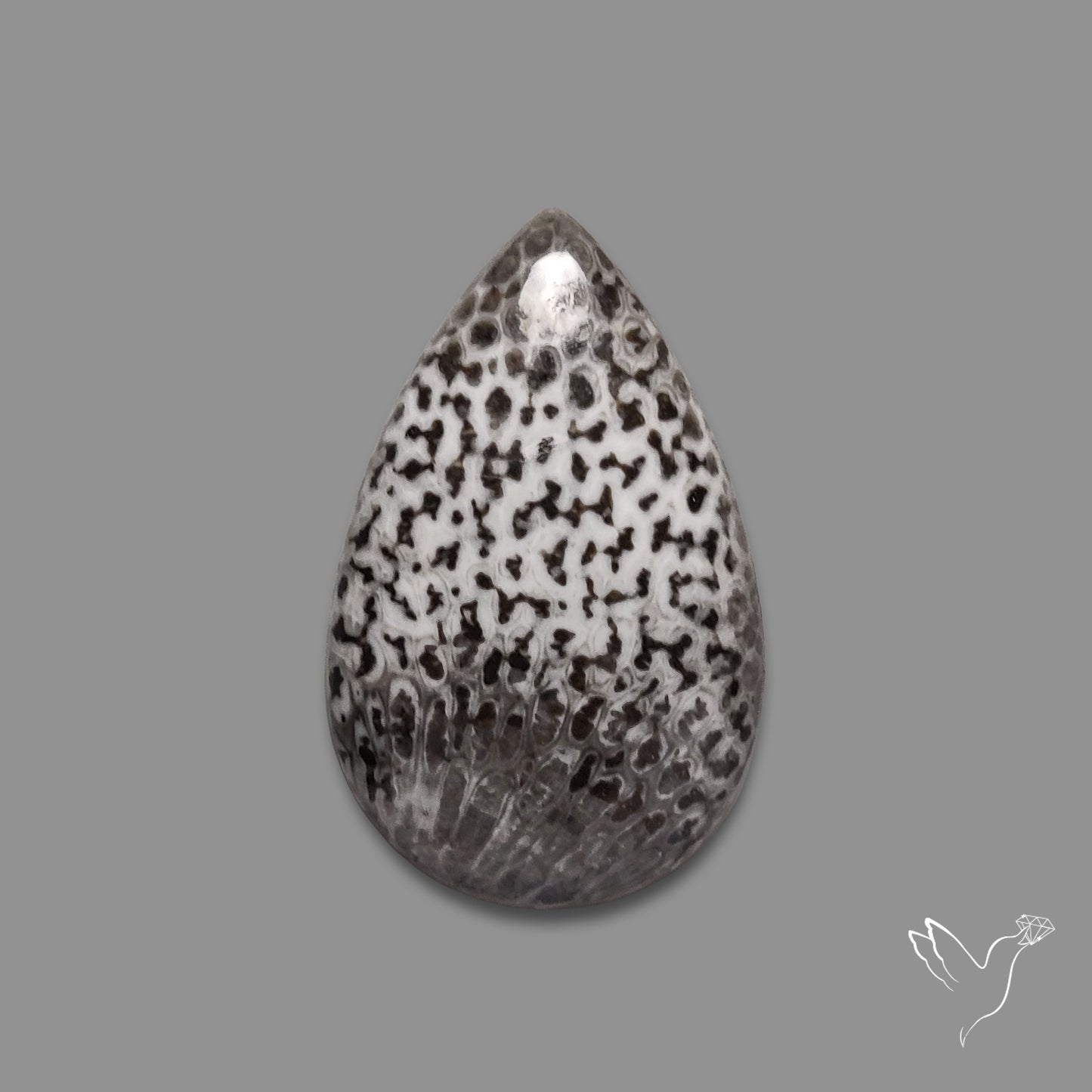 Black Fossil Coral Cabochon