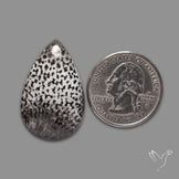Black Fossil Coral Cabochon