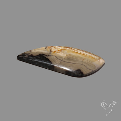 Picture Jasper Cabochon