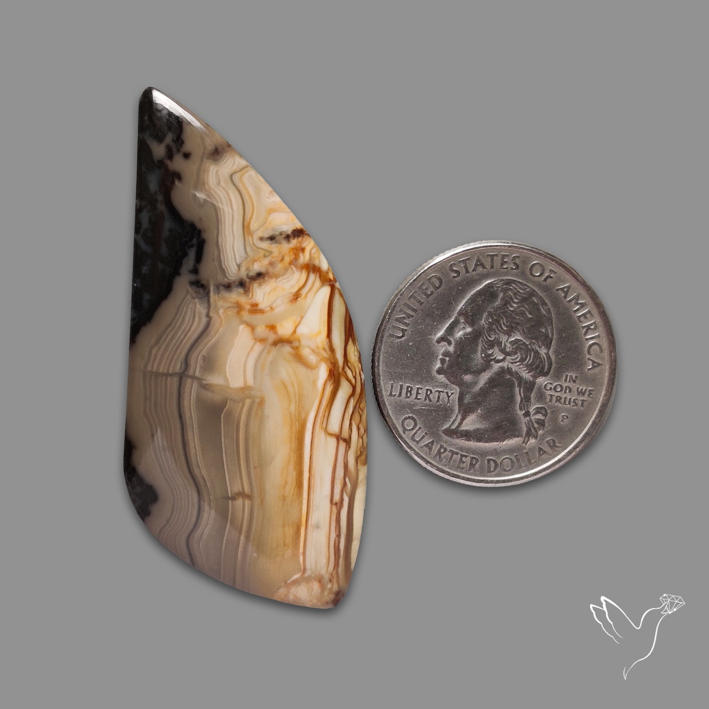 Picture Jasper Cabochon