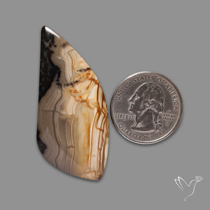 Picture Jasper Cabochon