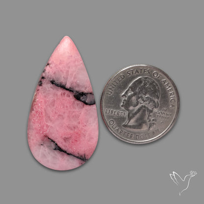 Rhodonite Cabochon