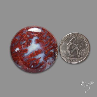 Apple Valley Agate Cabochon
