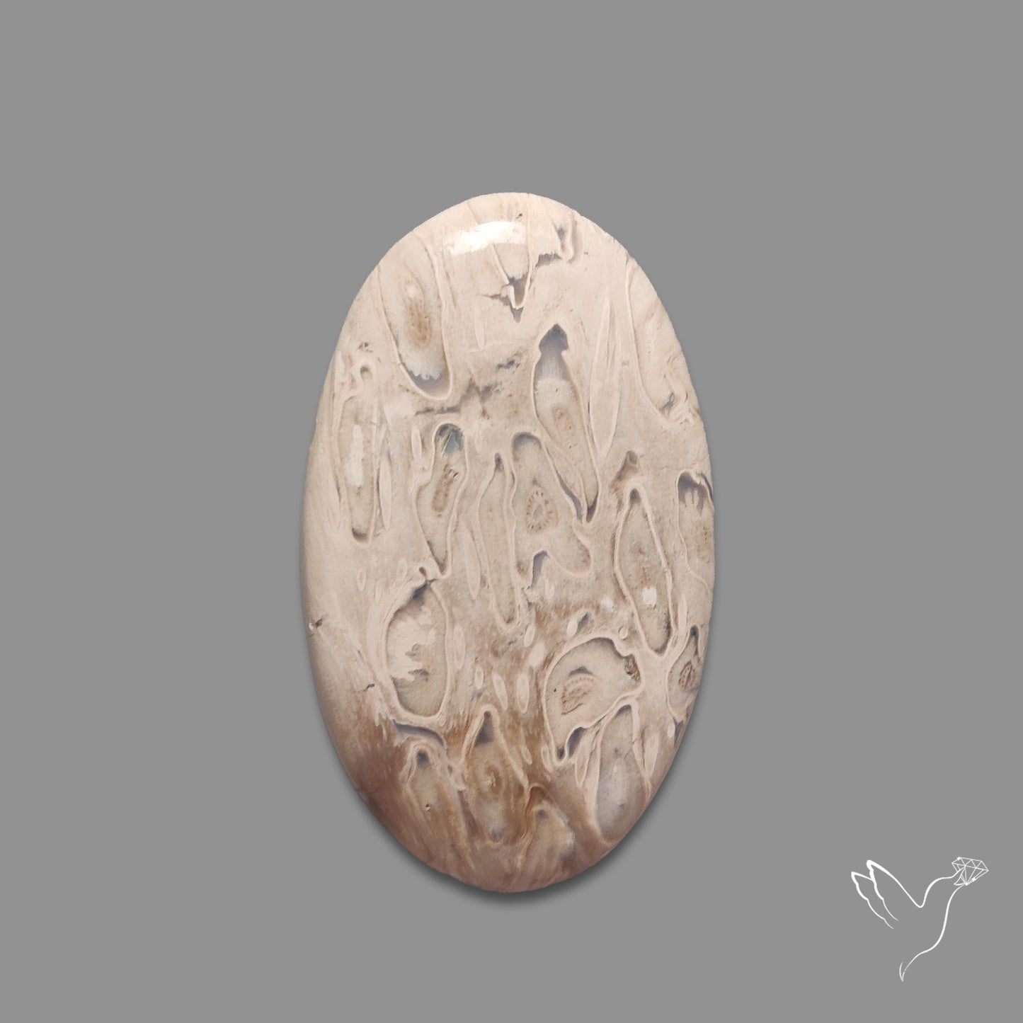 Indonesian Palmroot Agate Cabochon