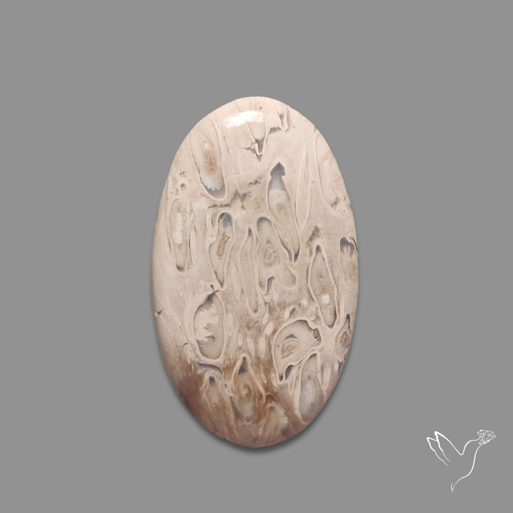 Indonesian Palmroot Agate Cabochon