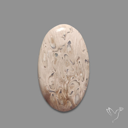 Indonesian Palmroot Agate Cabochon
