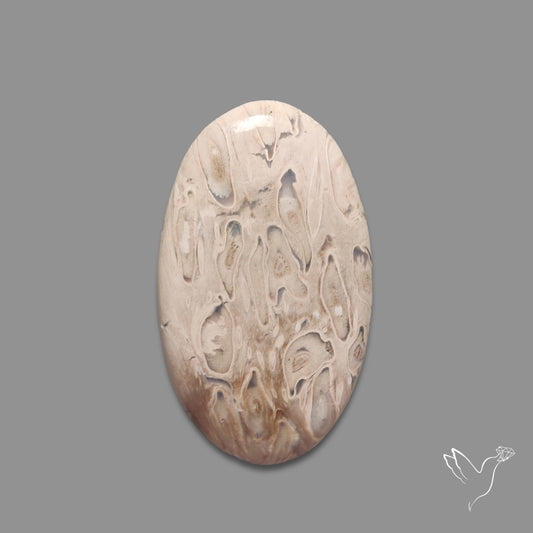Indonesian Palmroot Agate Cabochon